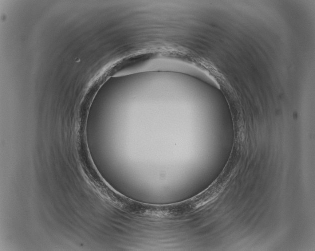 X0000087640440200705241244