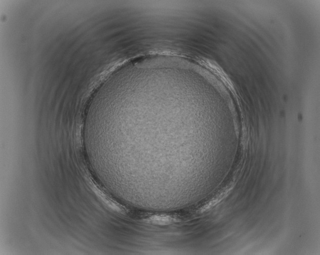 X0000087640441200705241244