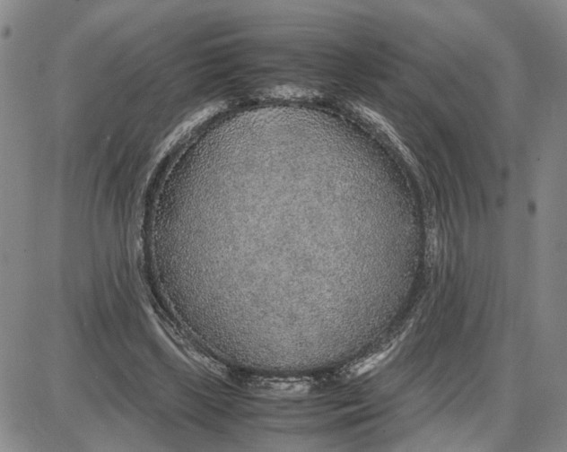 X0000087640443200705241244