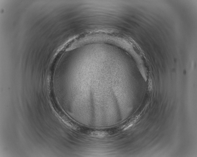 X0000087640444200705241244