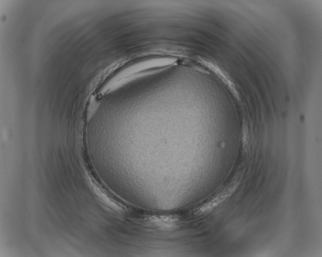 X0000087640445200705241244