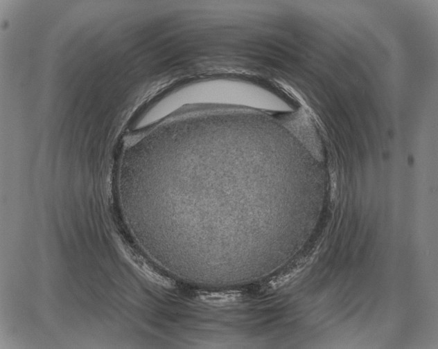 X0000087640447200705241244