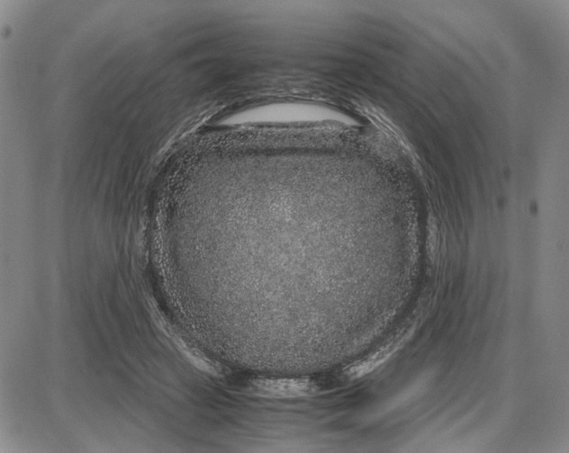 X0000087640449200705241244