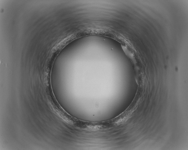 X0000087640450200705241244