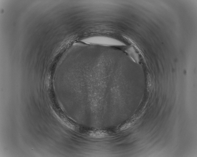 X0000087640451200705241244