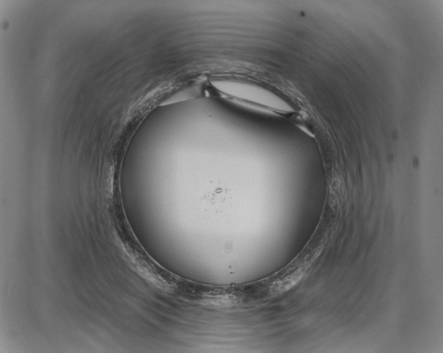 X0000087640454200705241244