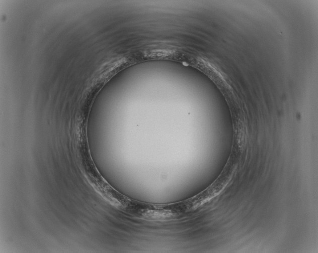 X0000087640455200705241244