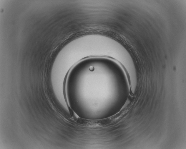 X0000087640456200705241244