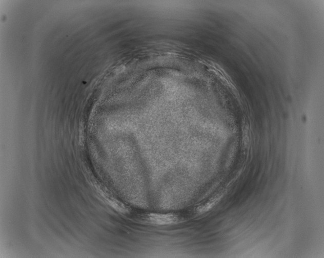 X0000087640457200705241244