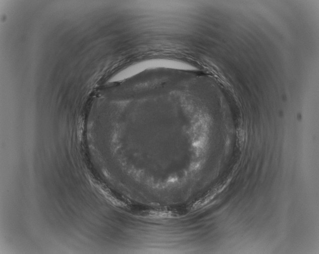 X0000087640458200705241244