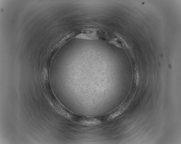 X0000087640459200705241244