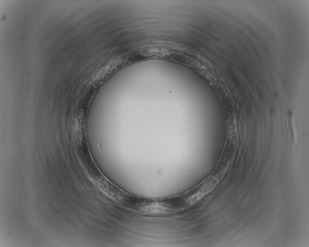 X0000087640460200705241244