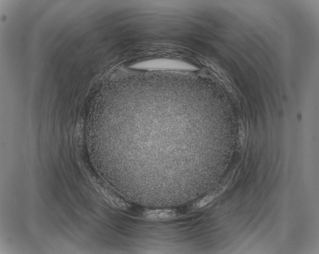 X0000087640461200705241244