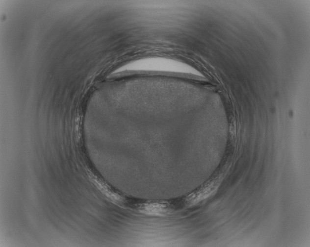 X0000087640462200705241244