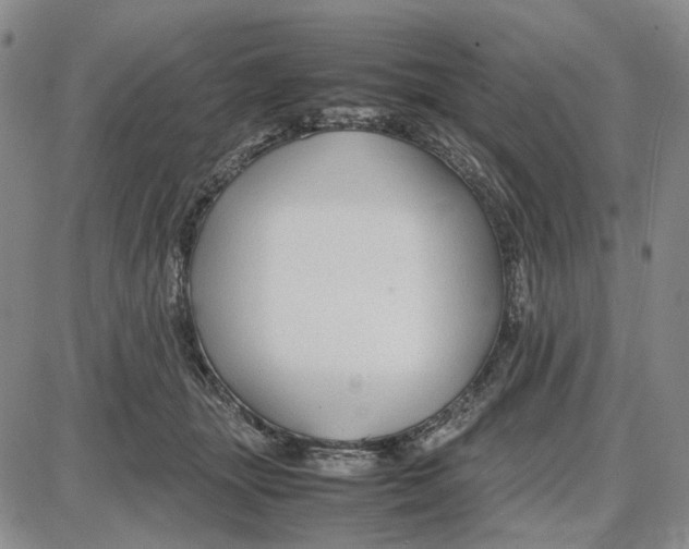 X0000087640463200705241244