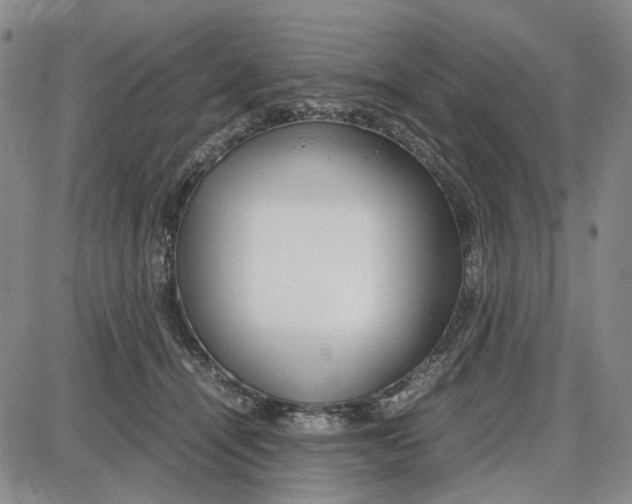 X0000087640464200705241244