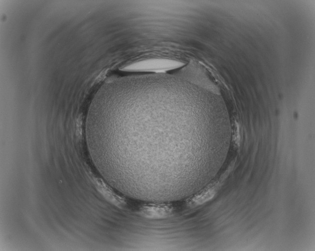 X0000087640466200705241244