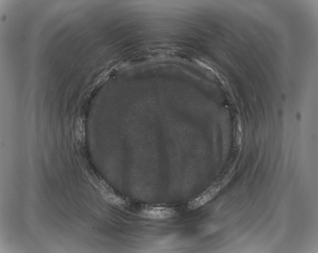 X0000087640467200705241244