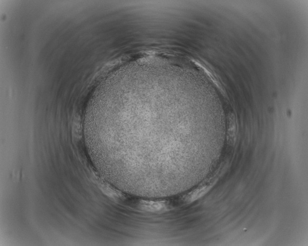 X0000087640469200705241244