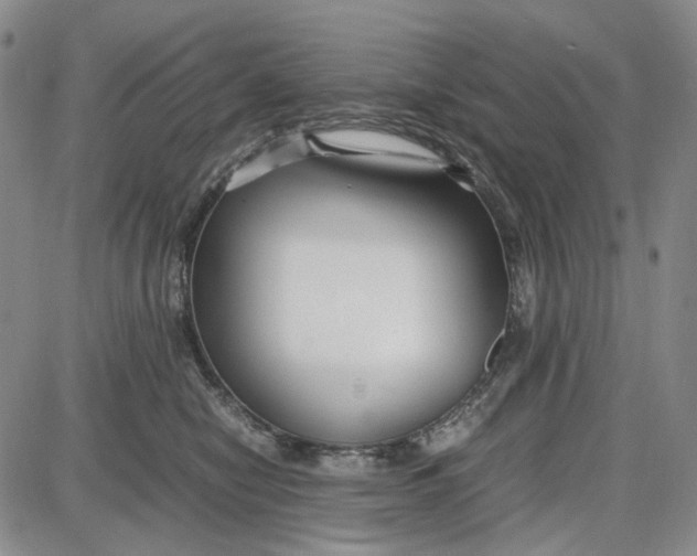 X0000087640470200705241244