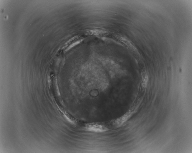 X0000087640471200705241244