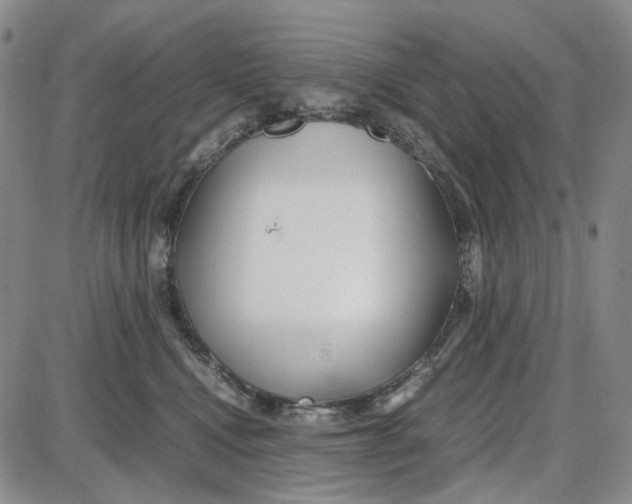 X0000087640472200705241244