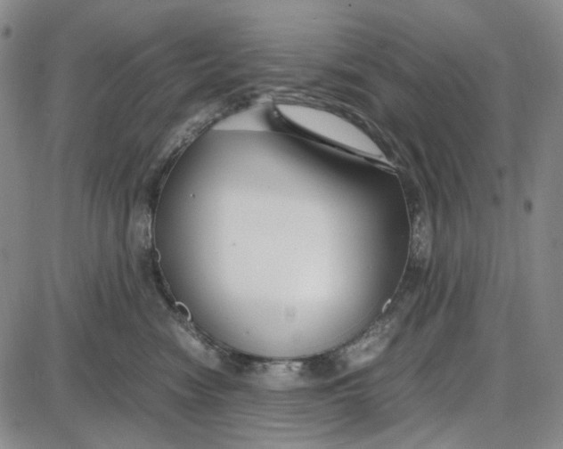 X0000087640474200705241244