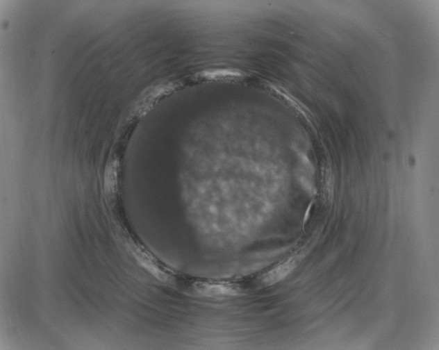 X0000087640475200705241244