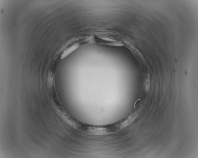 X0000087640476200705241244