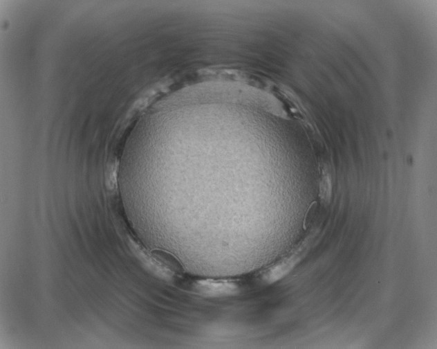 X0000087640477200705241244