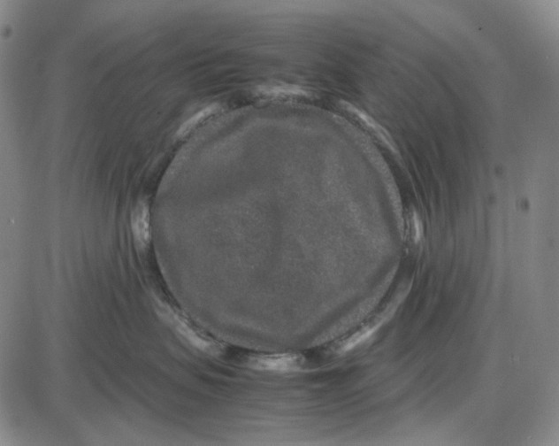 X0000087640479200705241244