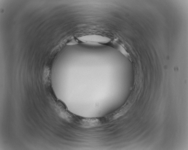 X0000087640480200705241244