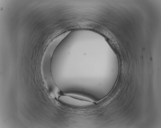 X0000087640481200705241243