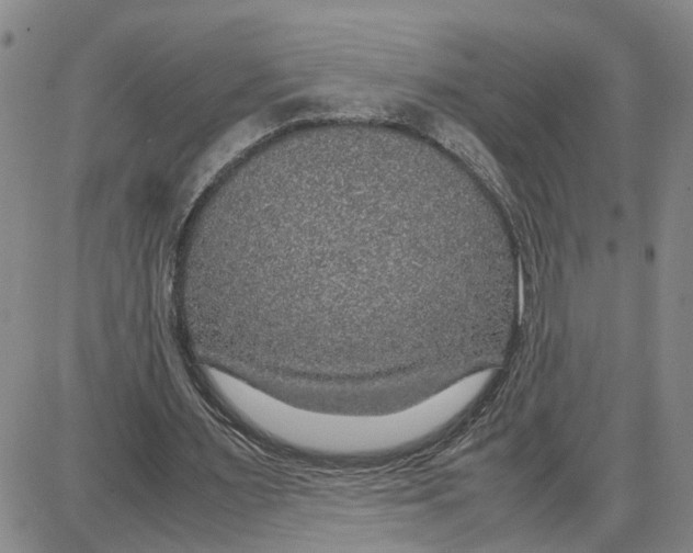 X0000087640483200705241243