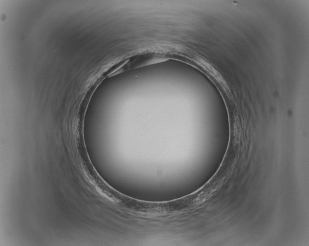 X0000087640485200705241243