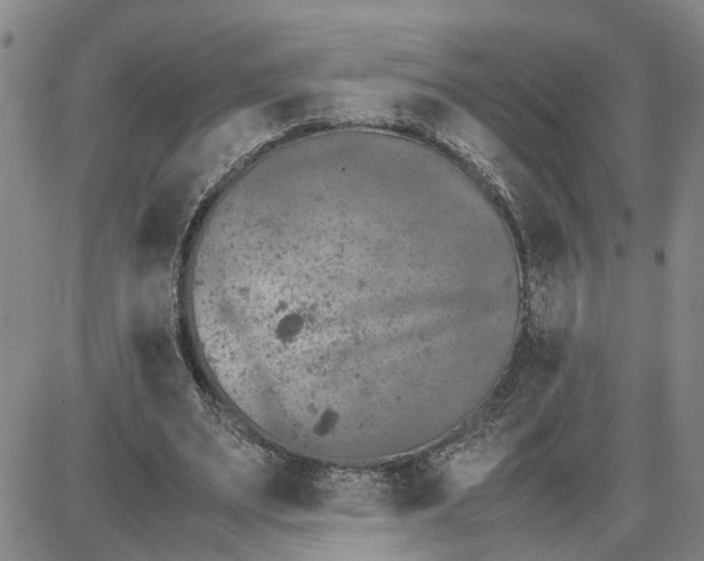 X0000087640487200705241243