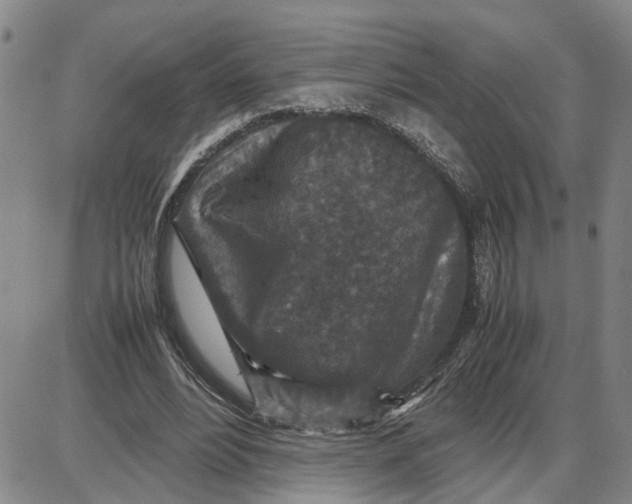 X0000087640488200705241243