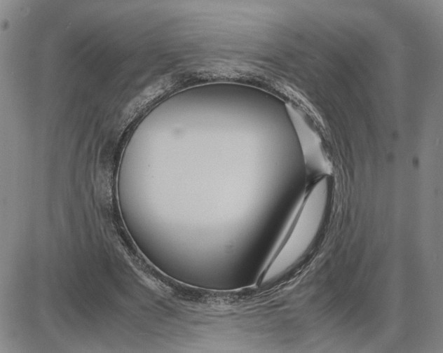 X0000087640489200705241243