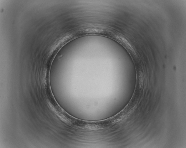 X0000087640490200705241243