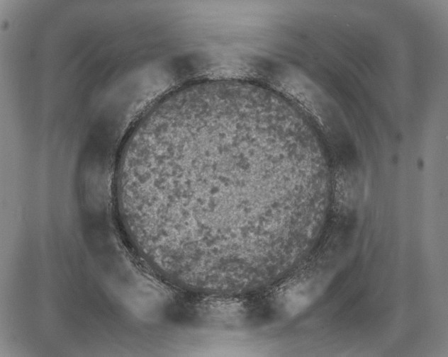 X0000087640491200705241243