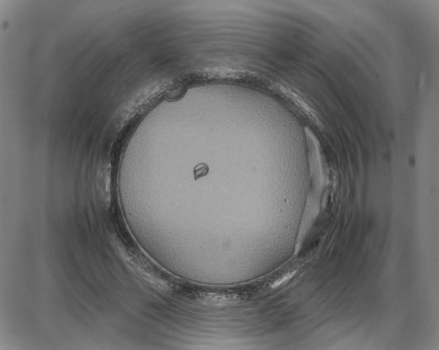 X0000087640494200705241243