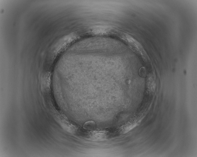 X0000087640495200705241243