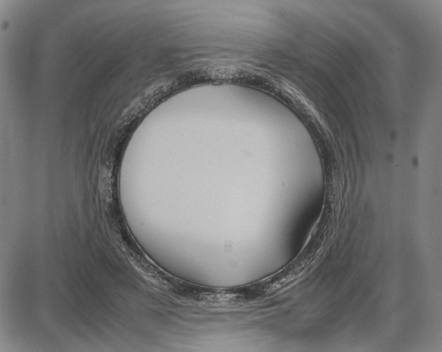 X0000087640497200705241243