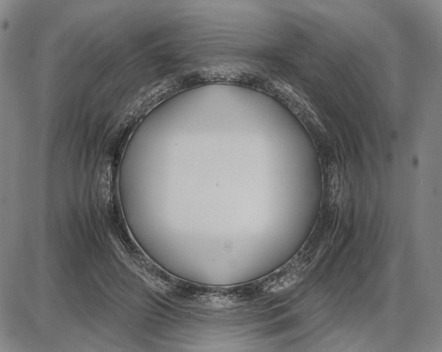 X0000087640498200705241243