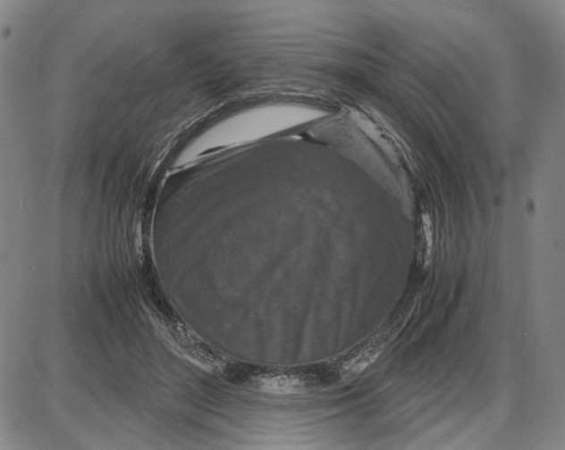 X0000087640500200705241243