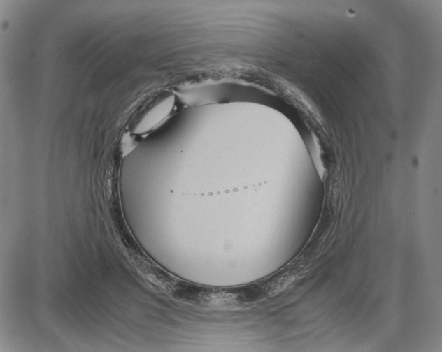 X0000087640501200705241243