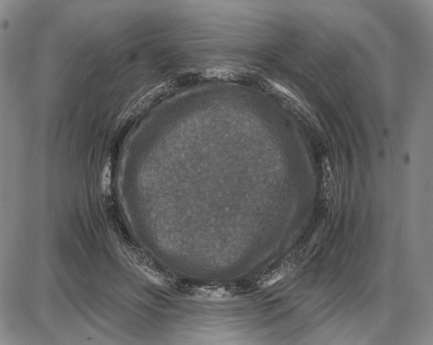 X0000087640502200705241243