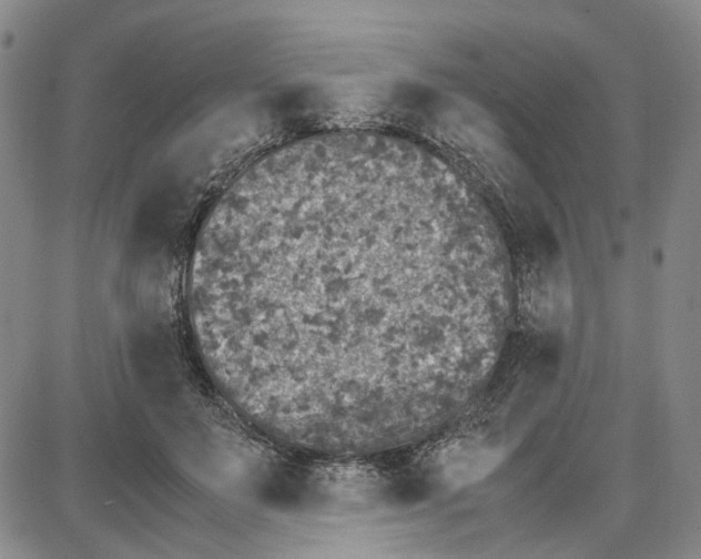 X0000087640503200705241243