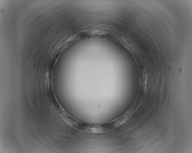 X0000087640506200705241243