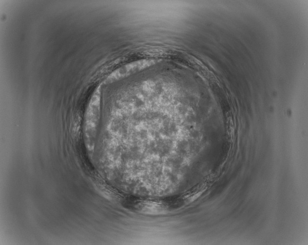 X0000087640507200705241243